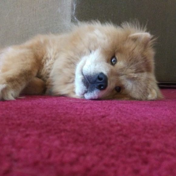 Meet your Posher, De - Picture 1 of 1